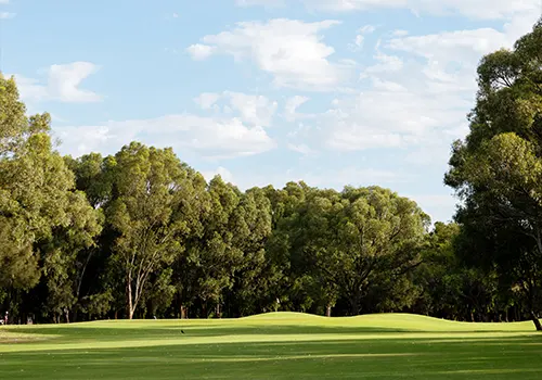 Driving Range